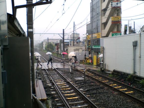 D1010004.JPG