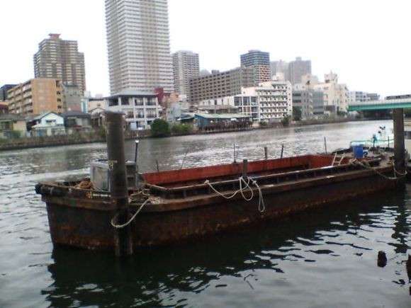 D1010014.JPG