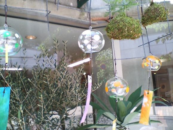 D1010009.JPG