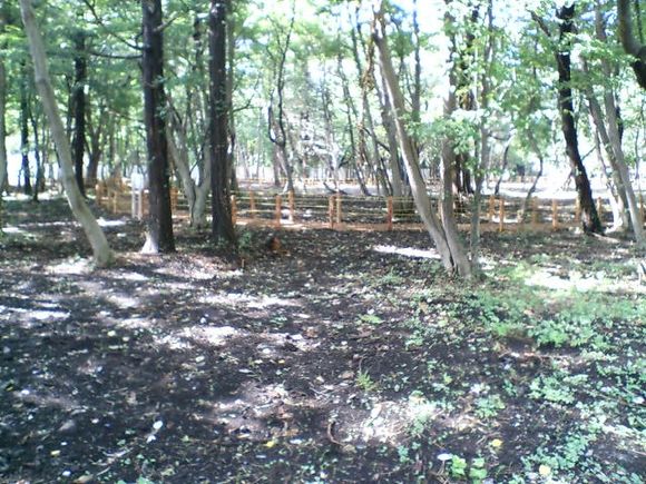 D1010077.JPG