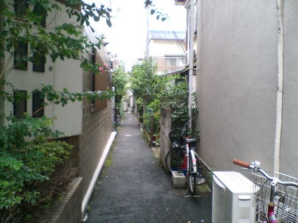 D1010005.JPG