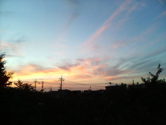 D1010105.JPG