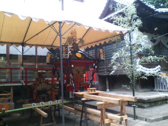 D1010003.JPG