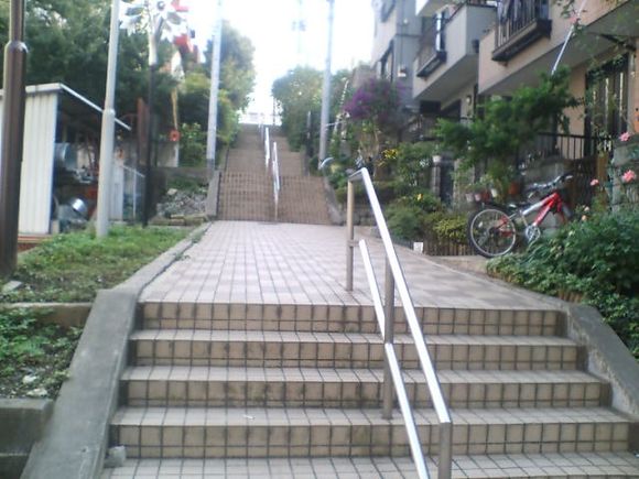 D1010020.JPG