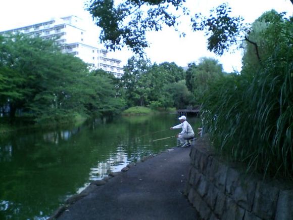 D1010043.JPG
