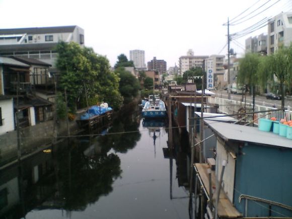D1010085.JPG