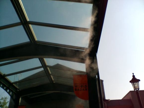 D1010114.JPG