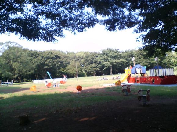 D1010010.JPG