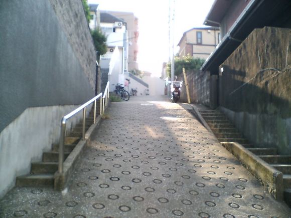 D1010010.JPG