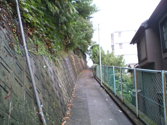 D1010017.JPG
