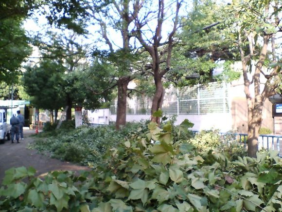 D1010019.JPG
