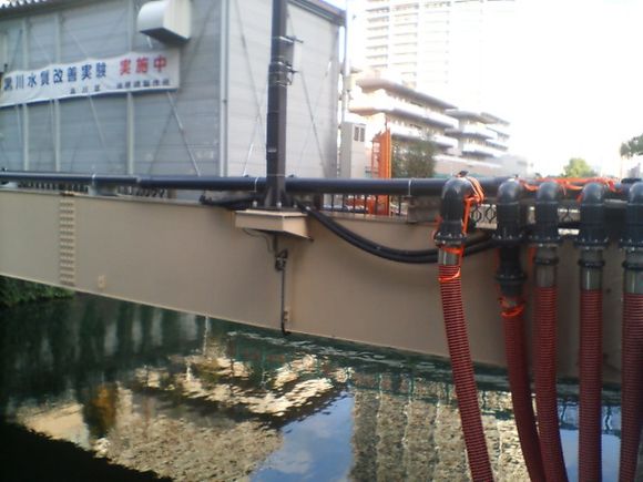 D1010076.JPG