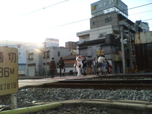 D1010014.JPG