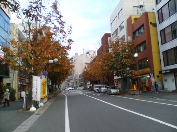 D1010109.JPG