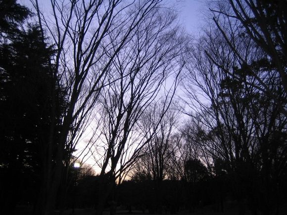 IMG_6979.jpg