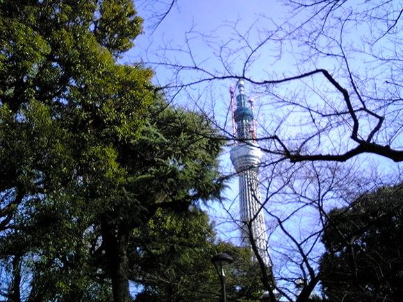 DVC00049.JPG