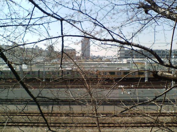 D1000027.JPG