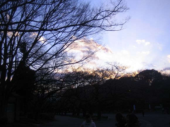 IMG_7694.JPG