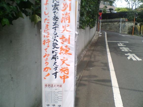 D1000006.JPG