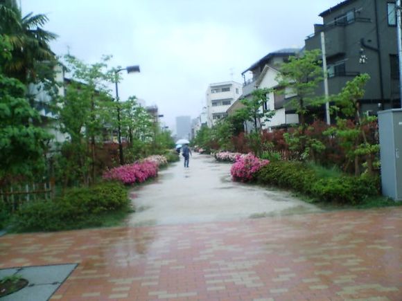 D1000041.JPG