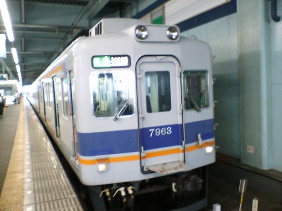 D1000008.JPG