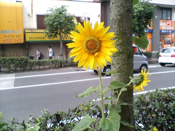 D1000012.JPG