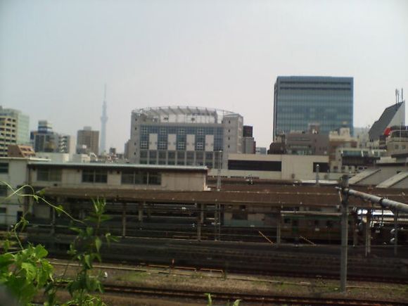 D1000007.JPG
