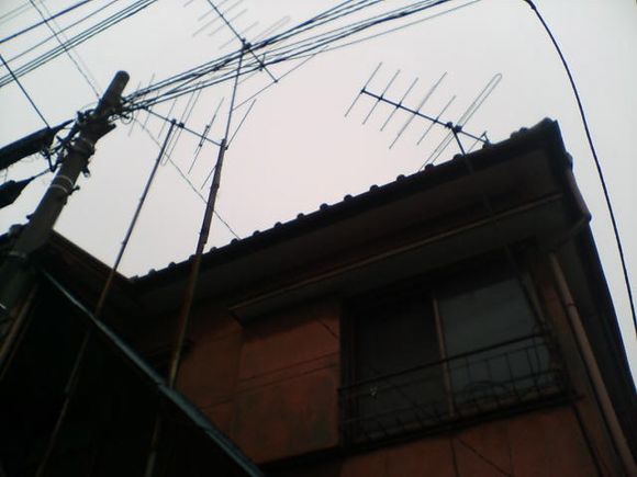 D1000012.JPG