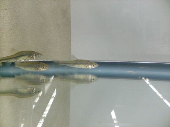 D1000028.JPG