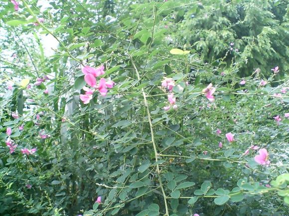 D1000016.JPG
