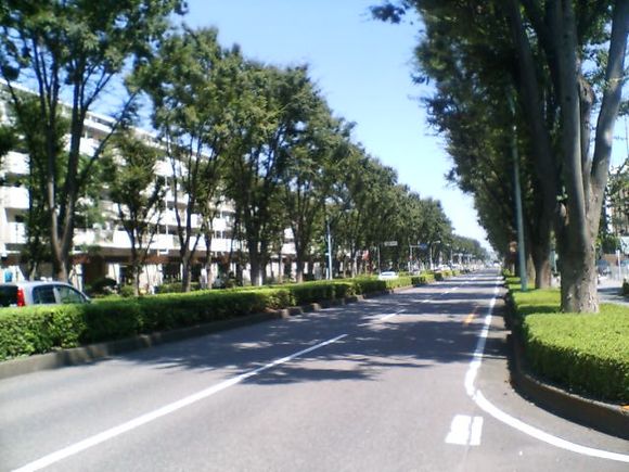 D1000022.JPG
