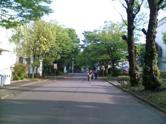 D1000086.JPG