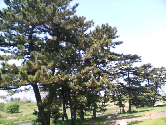 D1000071.JPG