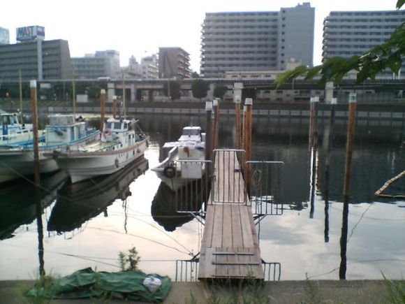 D1000028.JPG